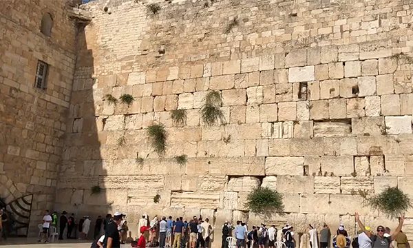 Battle for Israel Day 7, Western Wall