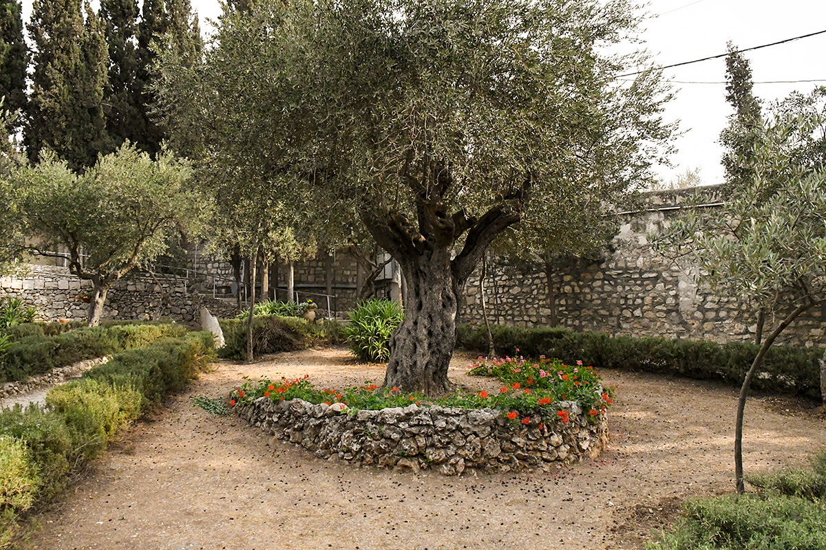 Gethsemane 