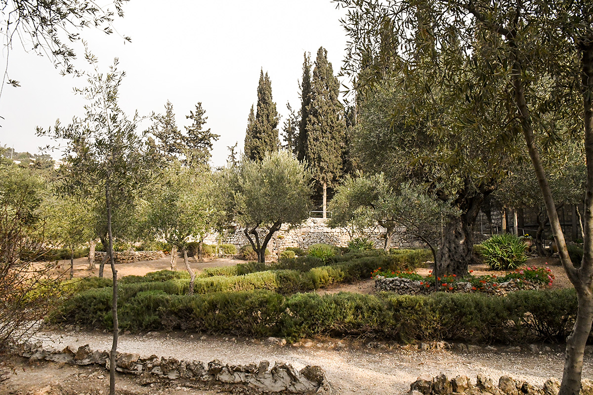 Gethsemane 