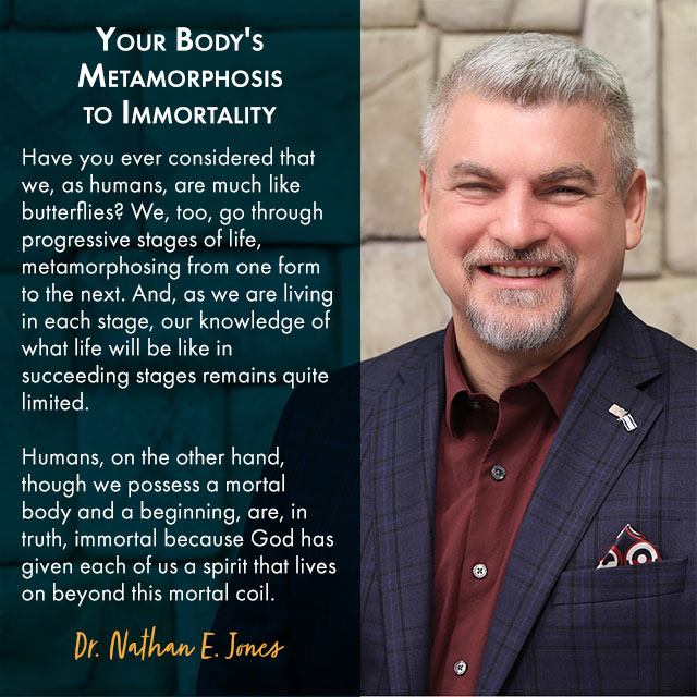 Your Body's Metamorphosis to Immortality