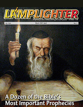 The Lamplighter Magazine