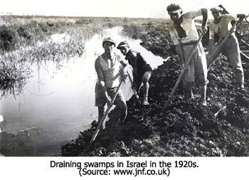 Draining Swamps