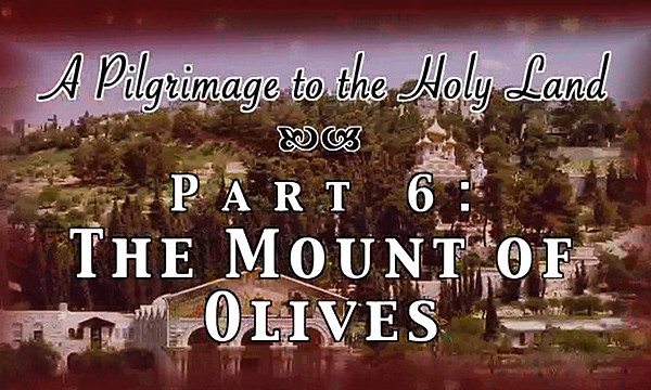 Pilgrimage 6 - Mount of Olives