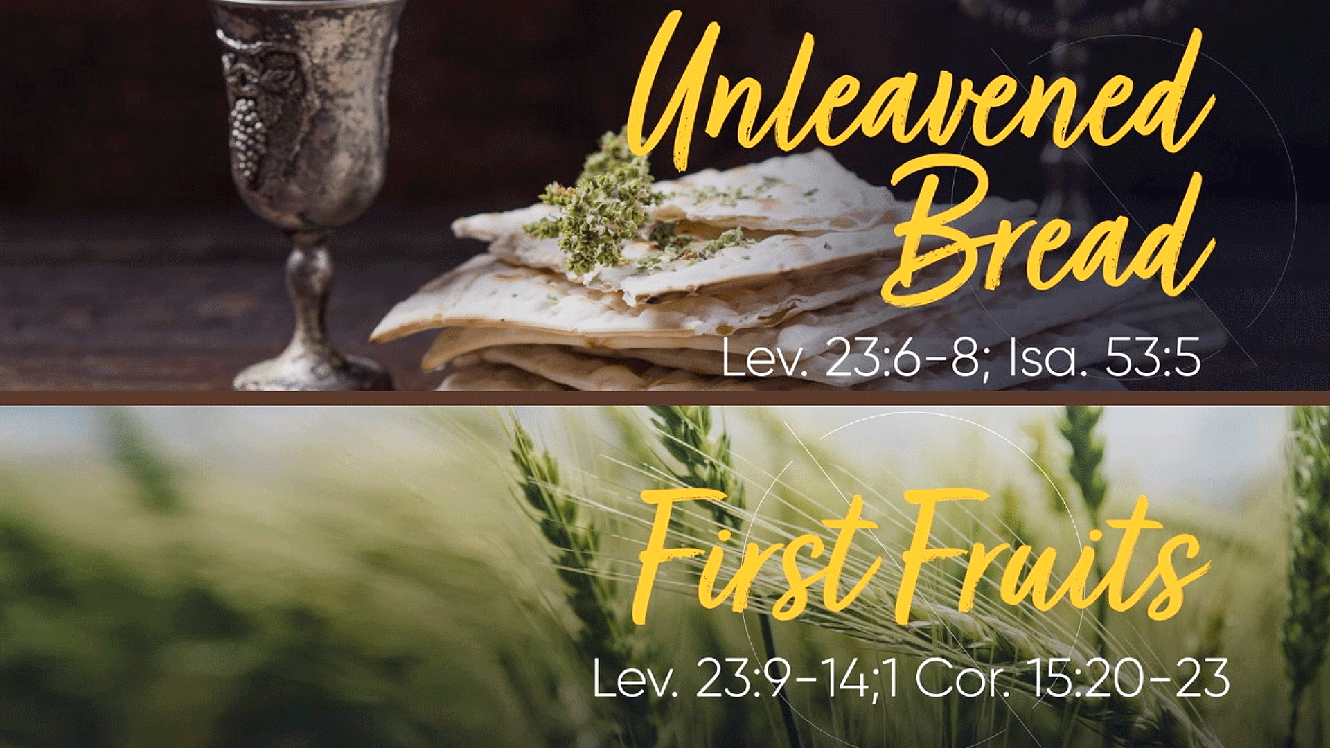 The Jewish Feasts of Unleavened Bread and First Fruits